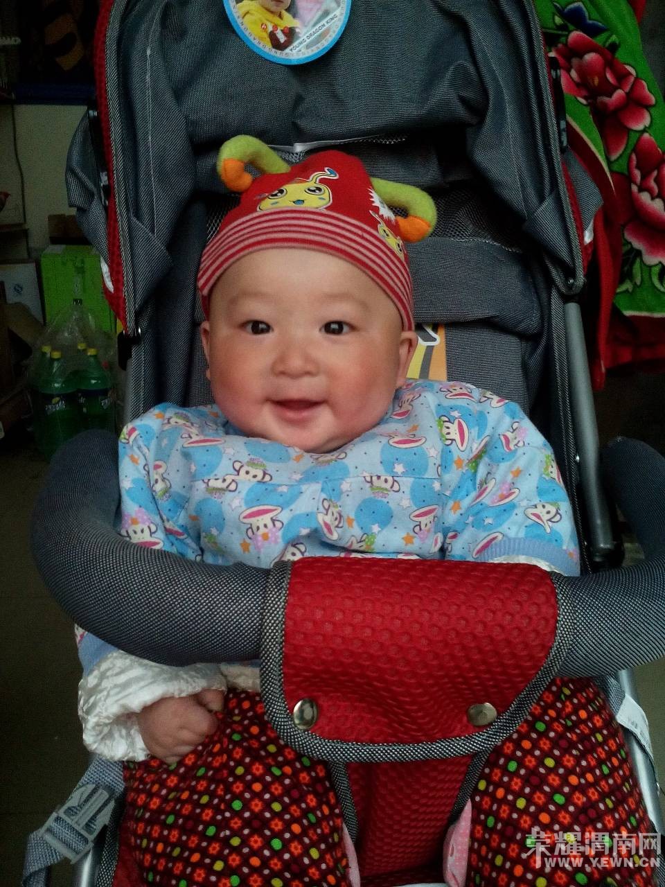 �����Ҽҿɰ��ı���������6���£����������󣬿����ޱ�