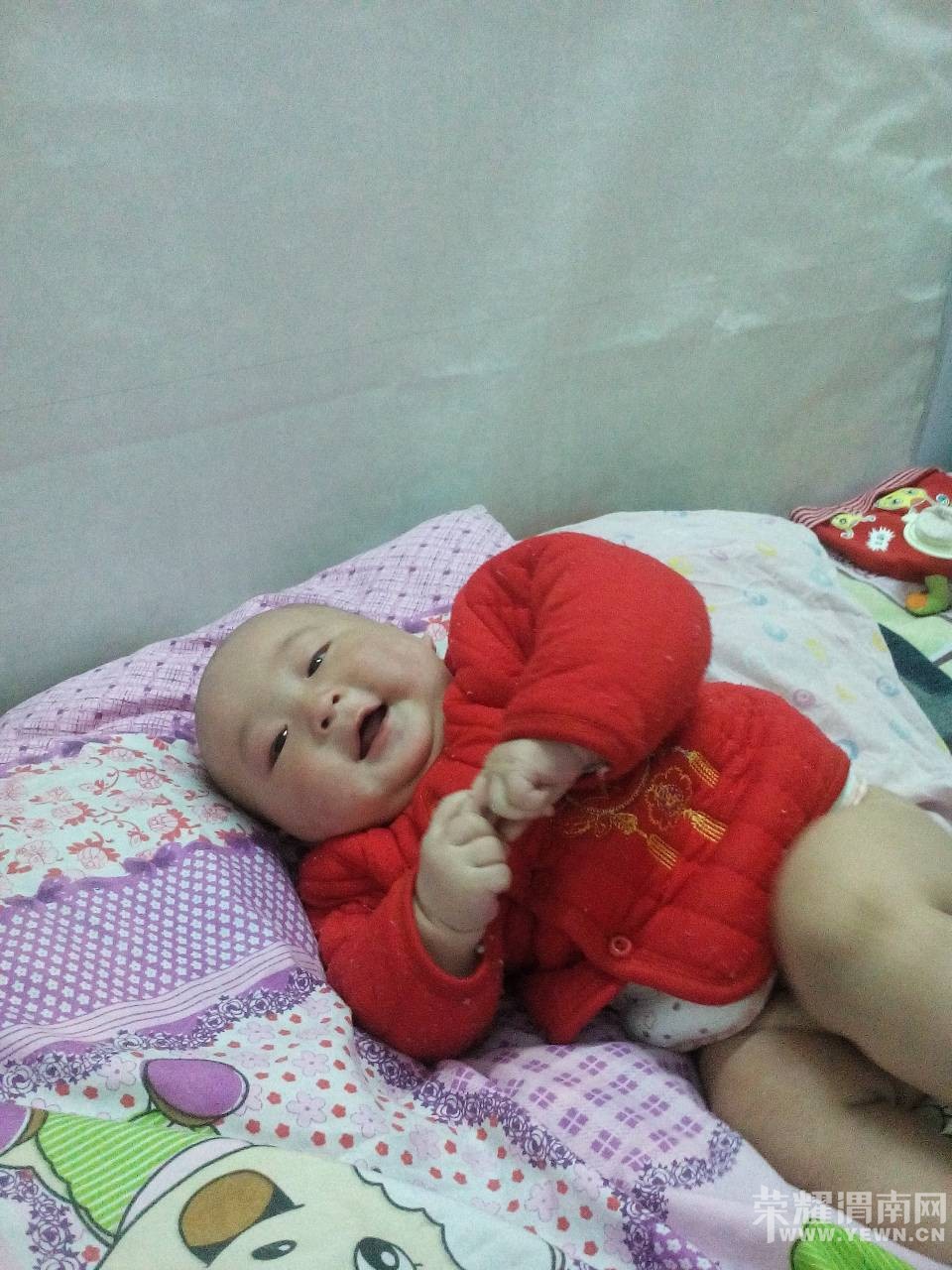 �����Ҽҿɰ��ı���������6���£����������󣬿����ޱ�