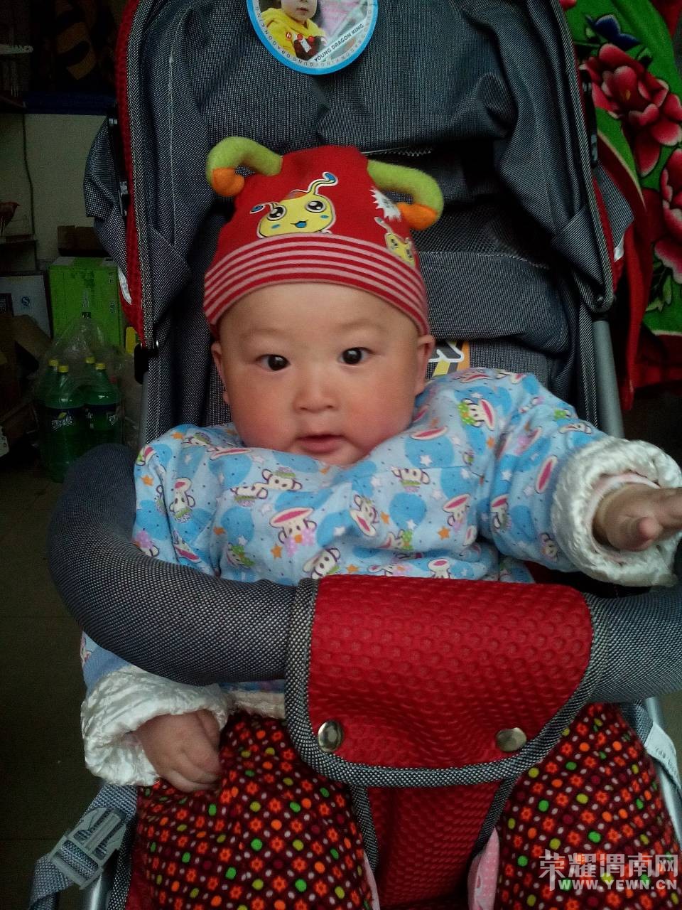 �����Ҽҿɰ��ı���������6���£����������󣬿����ޱ�