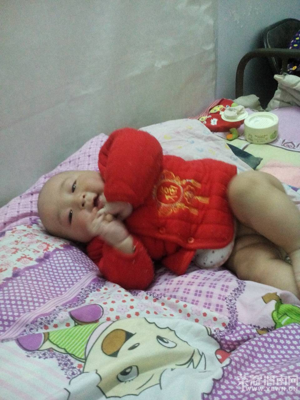 �����Ҽҿɰ��ı���������6���£����������󣬿����ޱ�