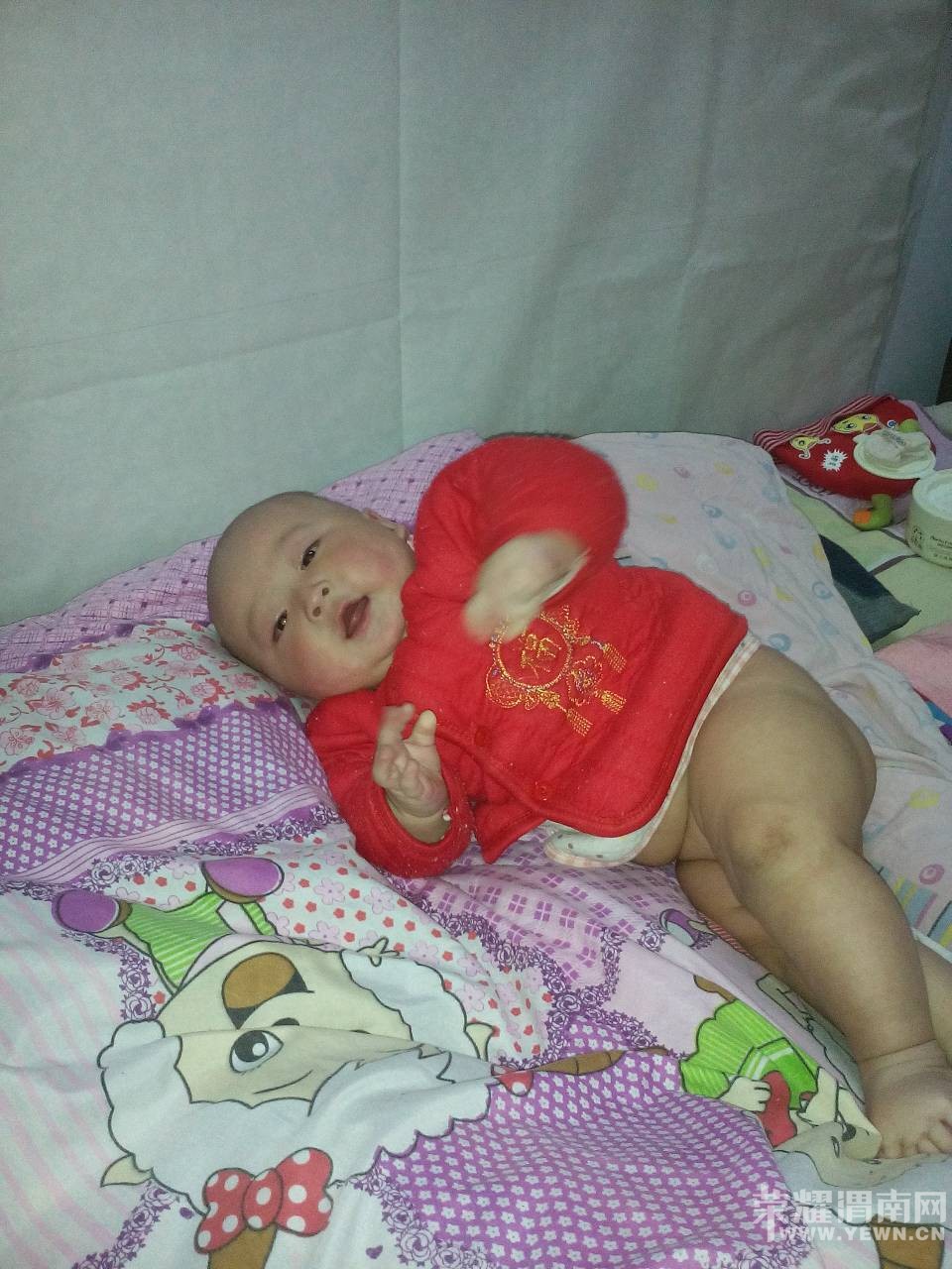 �����Ҽҿɰ��ı���������6���£����������󣬿����ޱ�