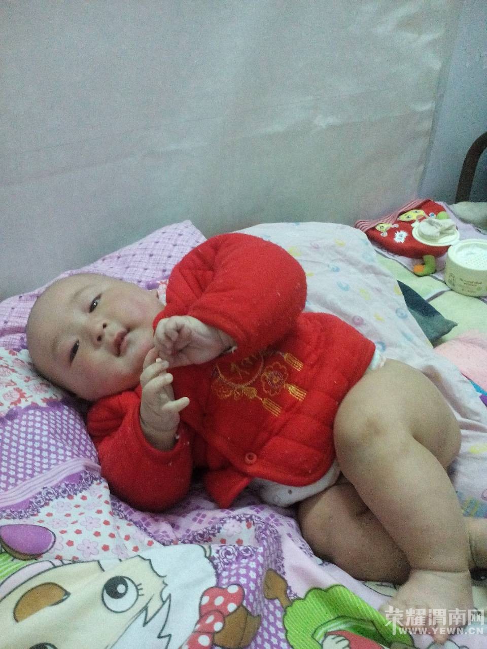 �����Ҽҿɰ��ı���������6���£����������󣬿����ޱ�