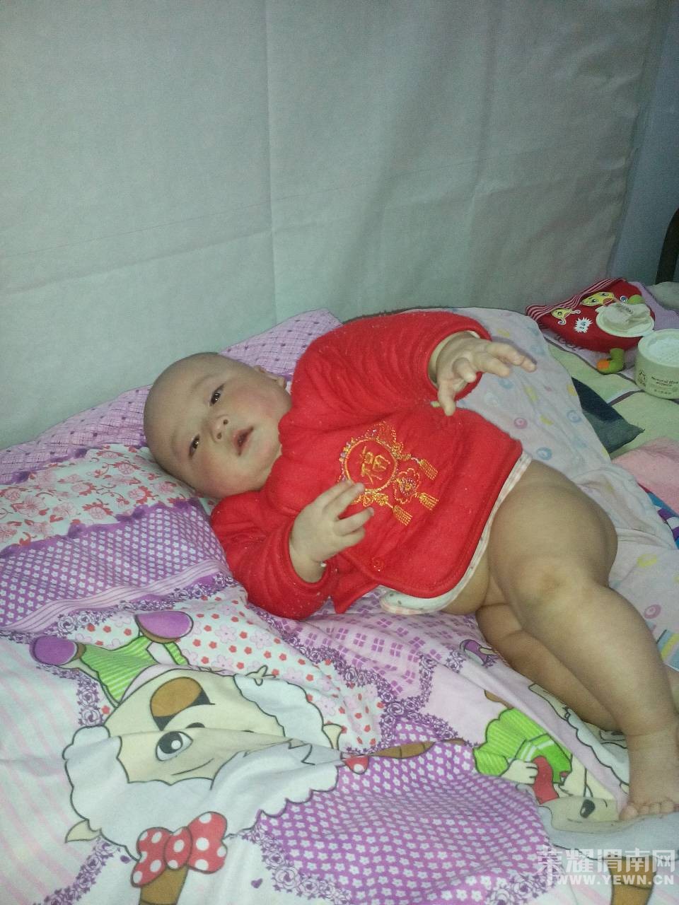 �����Ҽҿɰ��ı���������6���£����������󣬿����ޱ�