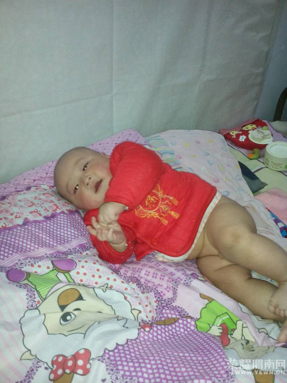 �����Ҽҿɰ��ı���������6���£����������󣬿����ޱ�