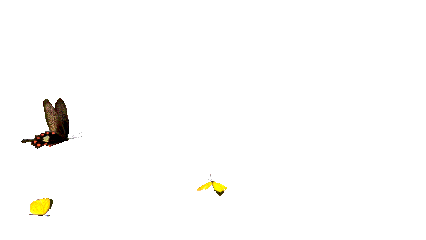  113ƽ��ô��������װ������˭������ģ�