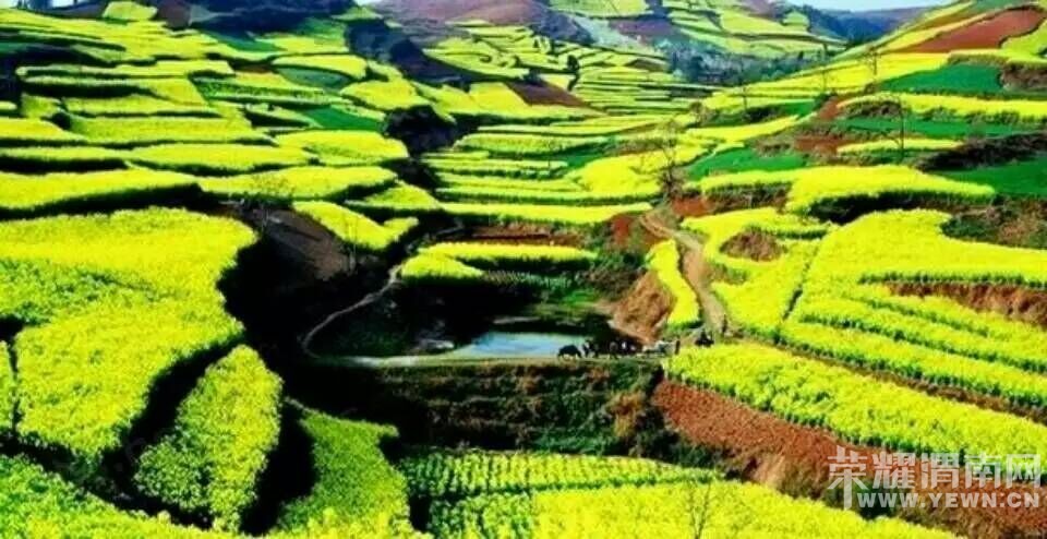 ���������˻������ˡ����ξ��ֲ���ټ�