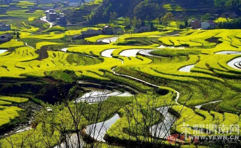 ���������˻������ˡ����ξ��ֲ���ټ�