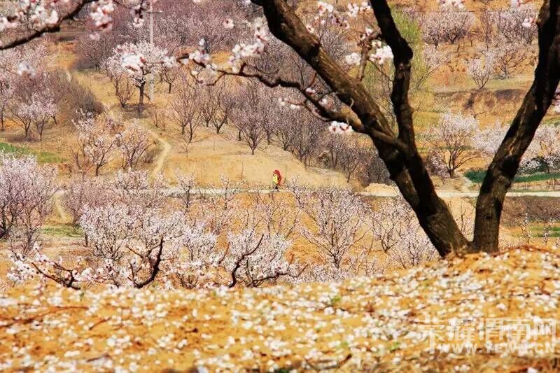 ���������˻������ˡ����ξ��ֲ���ټ�