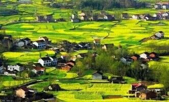 ���������˻������ˡ����ξ��ֲ���ټ�