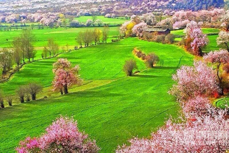 ���������˻������ˡ����ξ��ֲ���ټ�