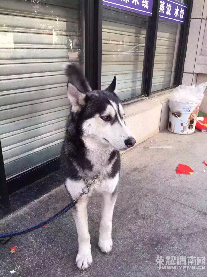 ��Ȯ��ʿ�濪��������������ʧ�����˺��ż�������ϵ��