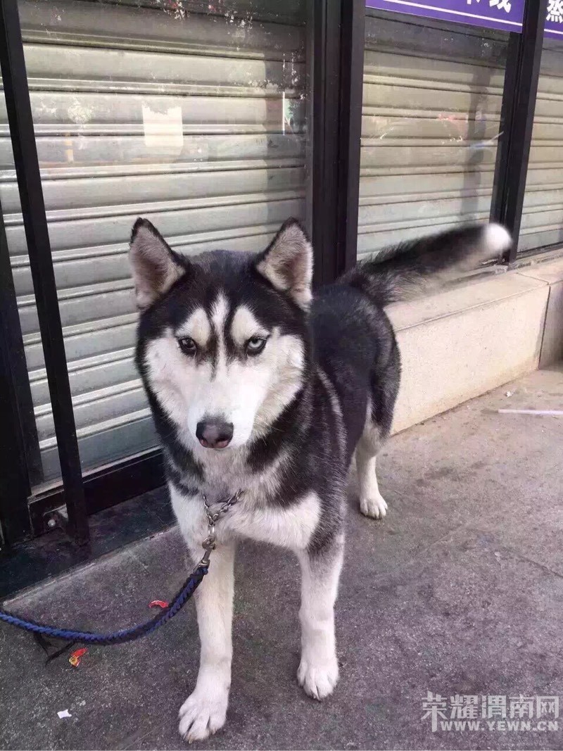 ��Ȯ��ʿ�濪��������������ʧ�����˺��ż�������ϵ��