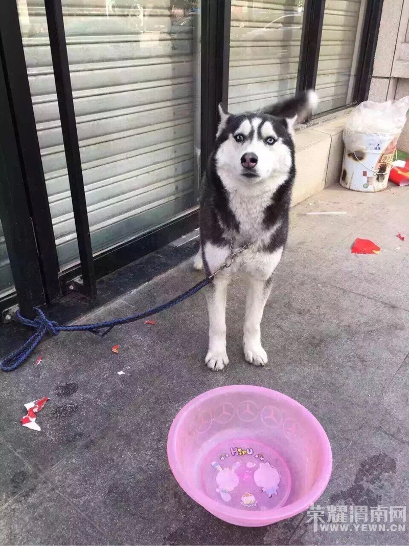 ��Ȯ��ʿ�濪��������������ʧ�����˺��ż�������ϵ��