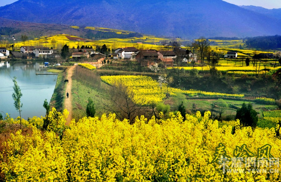 ����Խ���롷��������3��26--27�Ŷ����λ����