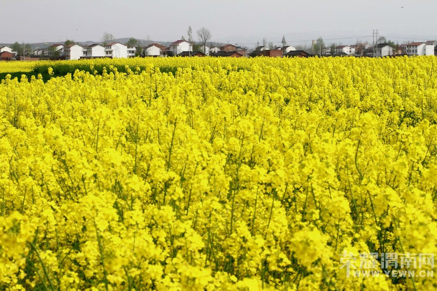 ����Խ���롷��������3��26--27�Ŷ����λ����