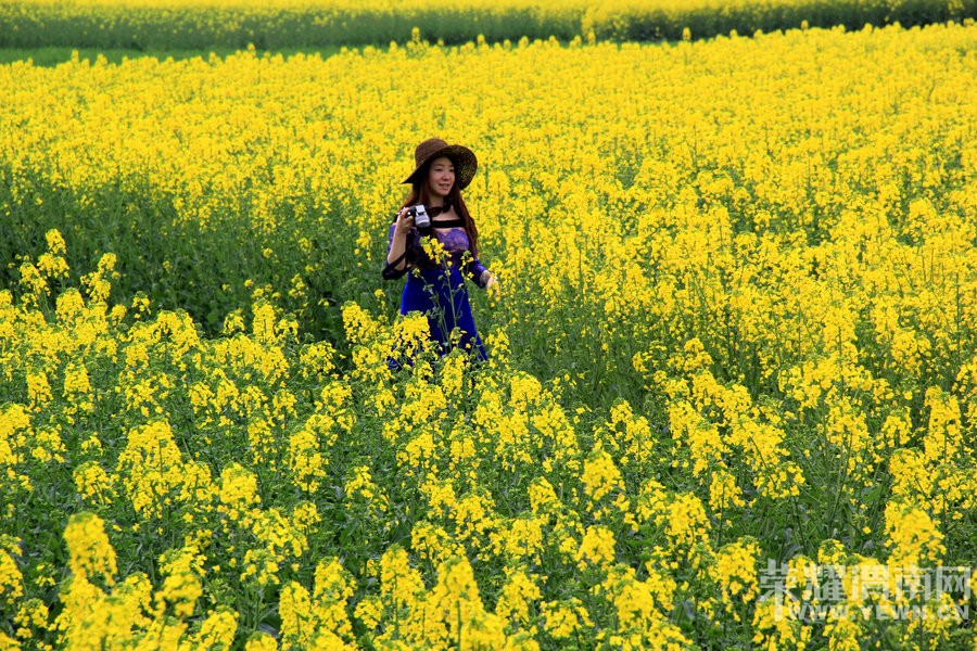 ����Խ���롷��������3��26--27�Ŷ����λ����