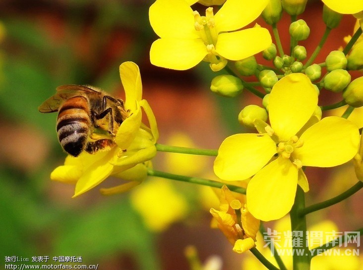 ����Խ���롷��������3��26--27�Ŷ����λ����