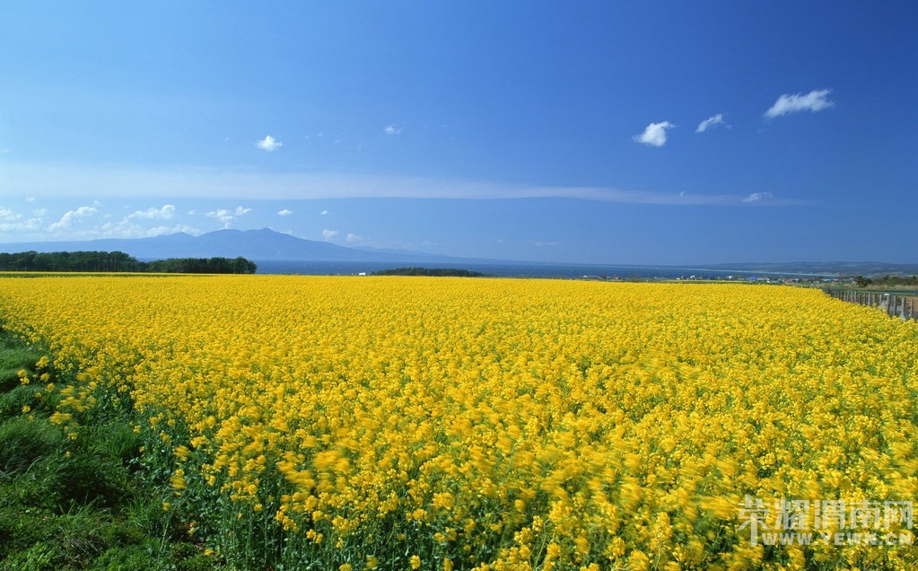 ����Խ���롷��������3��26--27�Ŷ����λ����