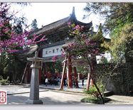 ����Խ���롷��������3��26--27�Ŷ����λ����