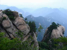 ����Խ���롷��������3��26--27�Ŷ����λ����