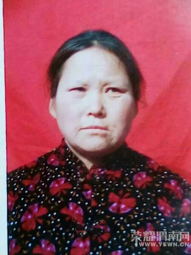 �������뼰ʱ��ϵ����л����� ����ϵ��15592397753