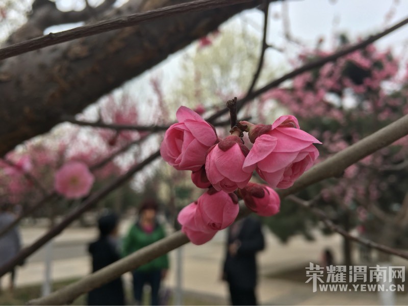 ���õĴ����ʢ�ŵĻ�����ʼ�����õ���ĩ��̤����ʼ