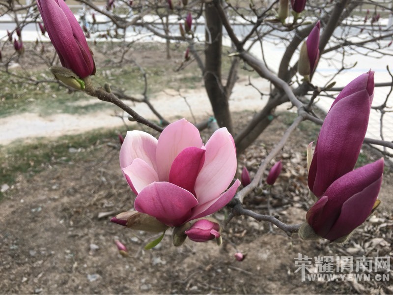 ���õĴ����ʢ�ŵĻ�����ʼ�����õ���ĩ��̤����ʼ