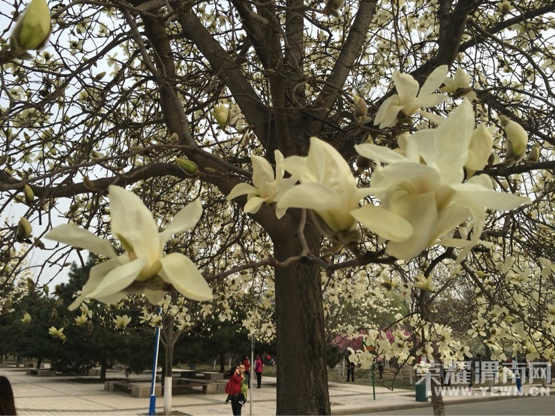 ���õĴ����ʢ�ŵĻ�����ʼ�����õ���ĩ��̤����ʼ