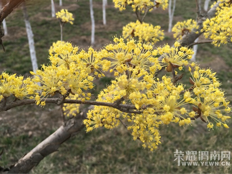 ���õĴ����ʢ�ŵĻ�����ʼ�����õ���ĩ��̤����ʼ