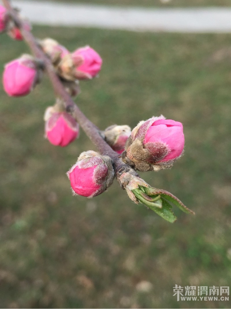 ���õĴ����ʢ�ŵĻ�����ʼ�����õ���ĩ��̤����ʼ