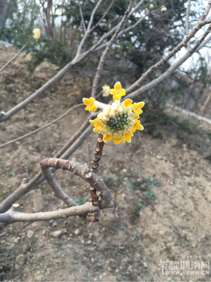 ���õĴ����ʢ�ŵĻ�����ʼ�����õ���ĩ��̤����ʼ