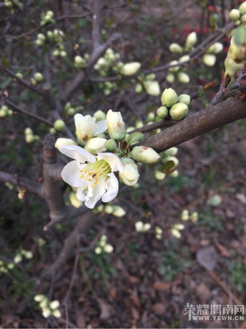 ���õĴ����ʢ�ŵĻ�����ʼ�����õ���ĩ��̤����ʼ