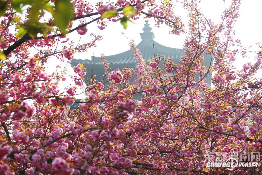 μ�ϡ�����ͬ�л��⡿3��26��������������ӣ��+����ɳ��ˮ��һ����