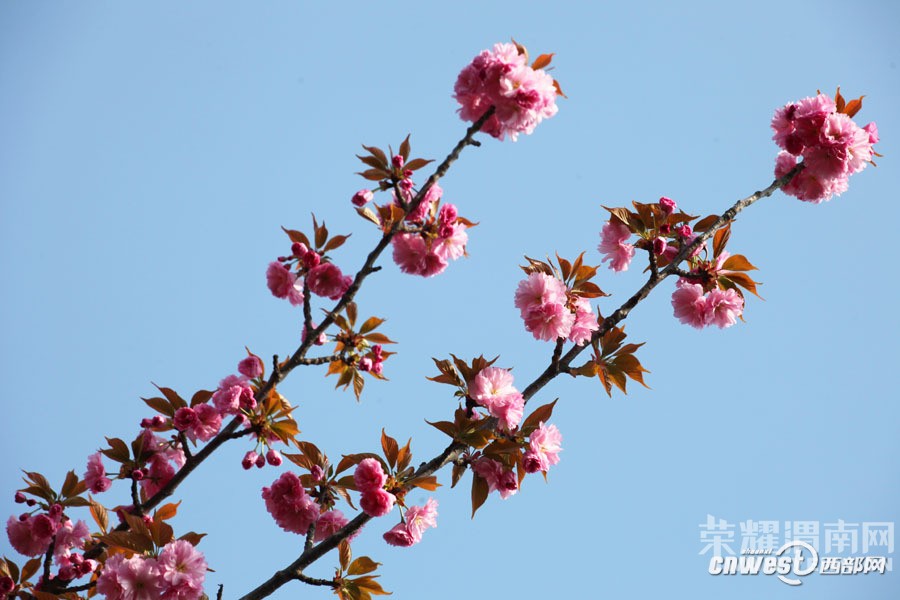 μ�ϡ�����ͬ�л��⡿3��26��������������ӣ��+����ɳ��ˮ��һ����