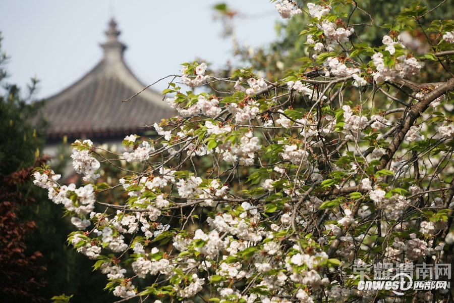 μ�ϡ�����ͬ�л��⡿3��26��������������ӣ��+����ɳ��ˮ��һ����