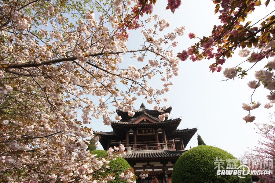 μ�ϡ�����ͬ�л��⡿3��26��������������ӣ��+����ɳ��ˮ��һ����