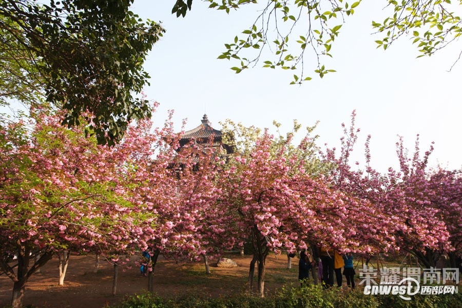 μ�ϡ�����ͬ�л��⡿3��26��������������ӣ��+����ɳ��ˮ��һ����