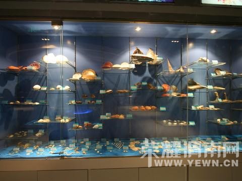 �����Ķ����������������ˣ�