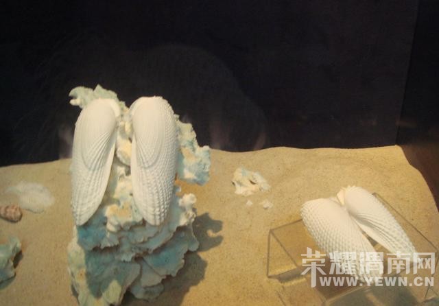 �����Ķ����������������ˣ�