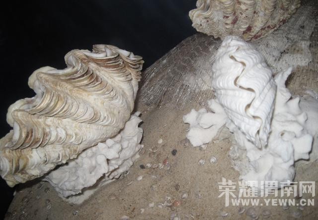 �����Ķ����������������ˣ�