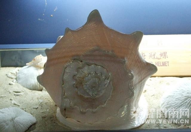 �����Ķ����������������ˣ�