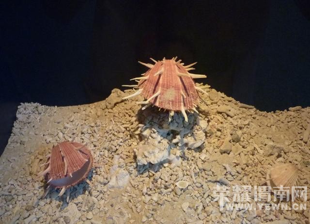 �����Ķ����������������ˣ�