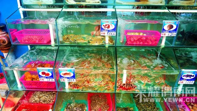 �����Ķ����������������ˣ�