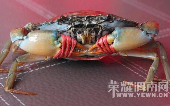 �����Ķ����������������ˣ�