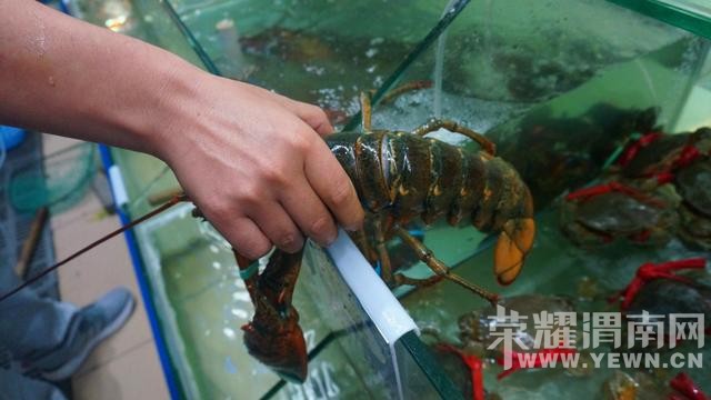 �����Ķ����������������ˣ�