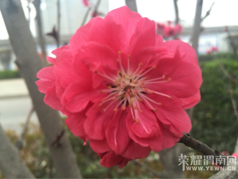 ��ɫ�Ļ���������ϣ�����ĵĻ�����Ҵ������֣�