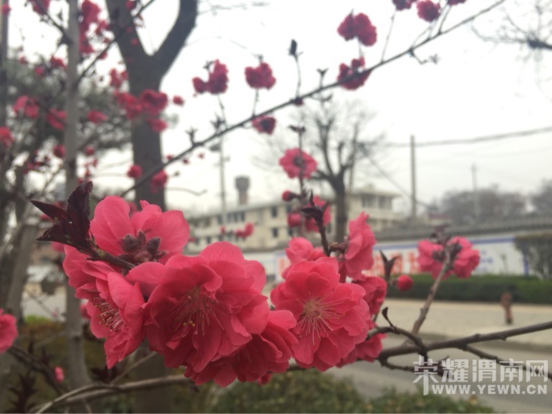 ��ɫ�Ļ���������ϣ�����ĵĻ�����Ҵ������֣�