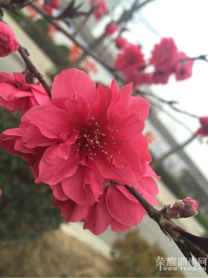 ��ɫ�Ļ���������ϣ�����ĵĻ�����Ҵ������֣�