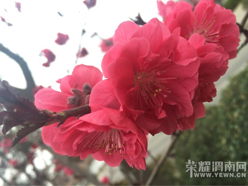 ��ɫ�Ļ���������ϣ�����ĵĻ�����Ҵ������֣�