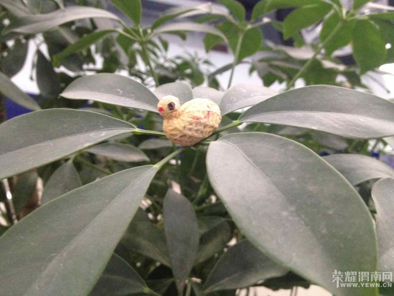 �����з��ֵ�